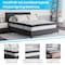 Flash Furniture 12" Queen Mattress, 14" Bed frame & 3" Topper Set XU-BD10-12PSM2M35-Q-GG - alternate 3
